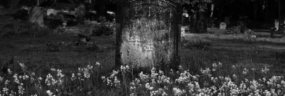 Flowers round the grave