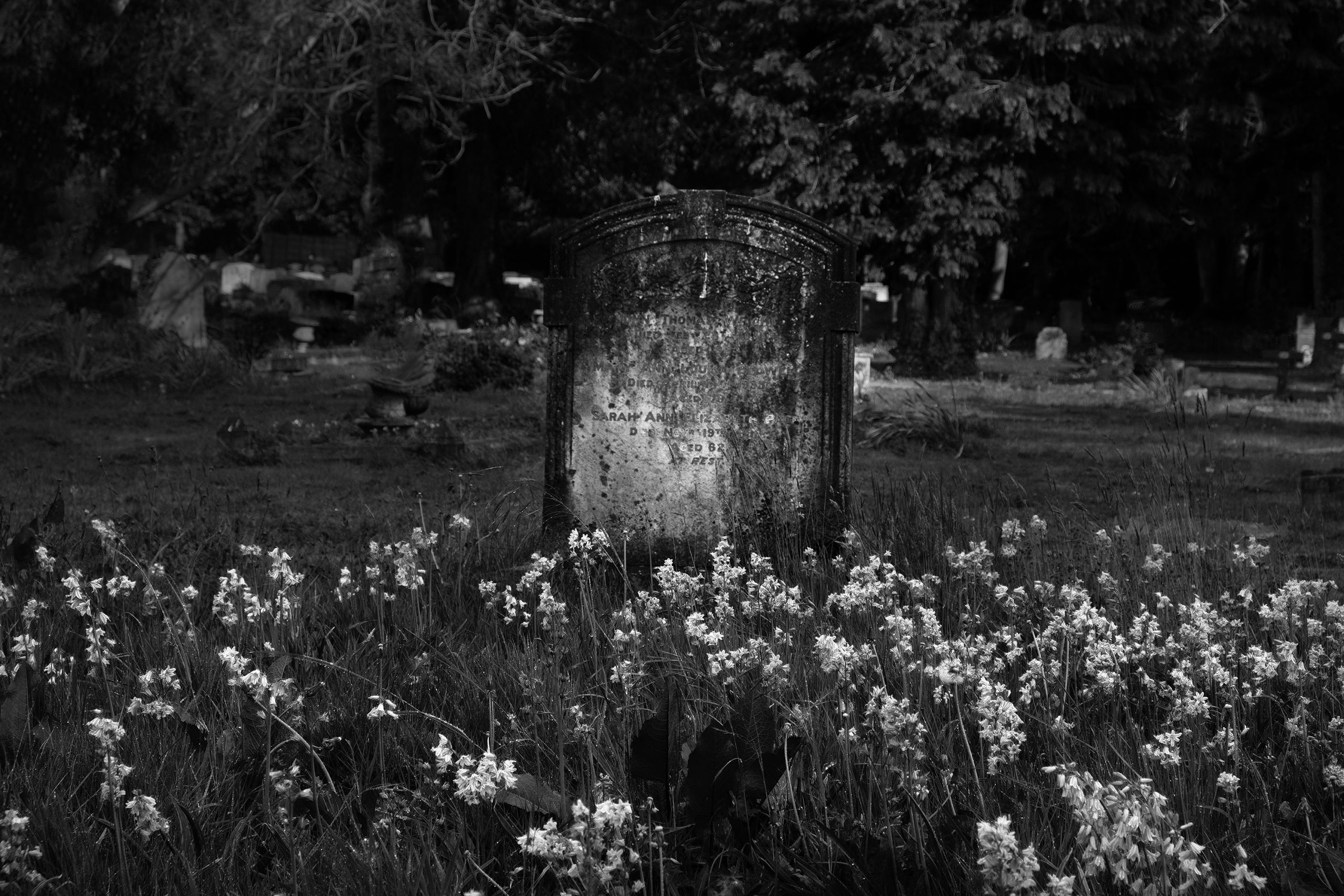 Flowers round the grave