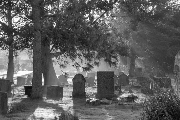 Gravestones highlighted in sunlight