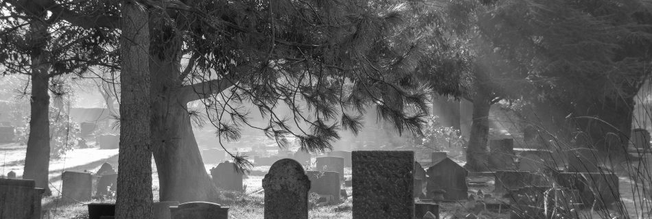 Gravestones highlighted in sunlight