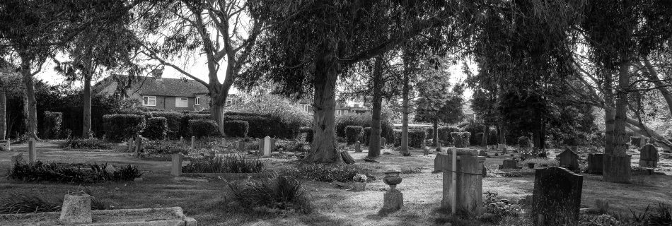 Play of light and shade