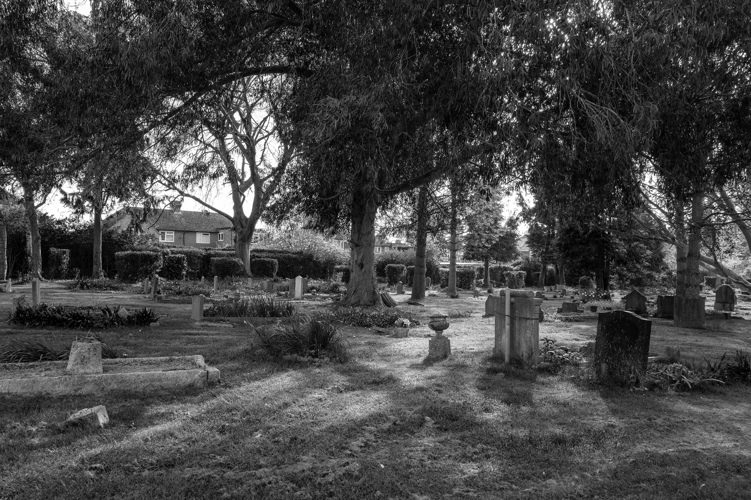 Play of light and shade