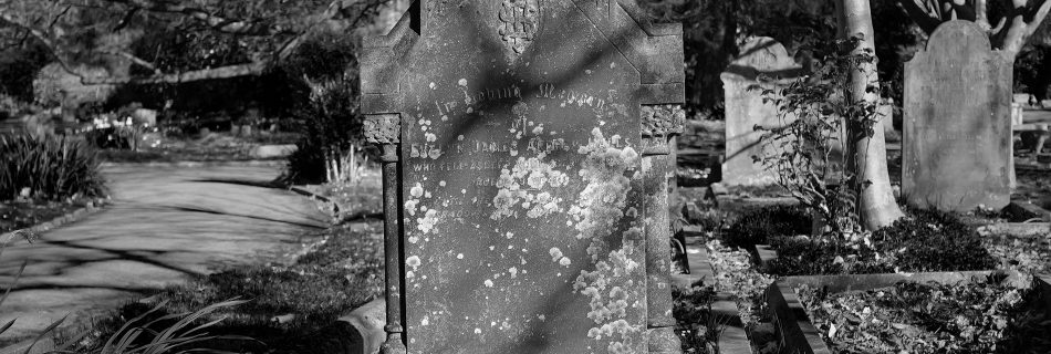 Moss and light on the gravestone