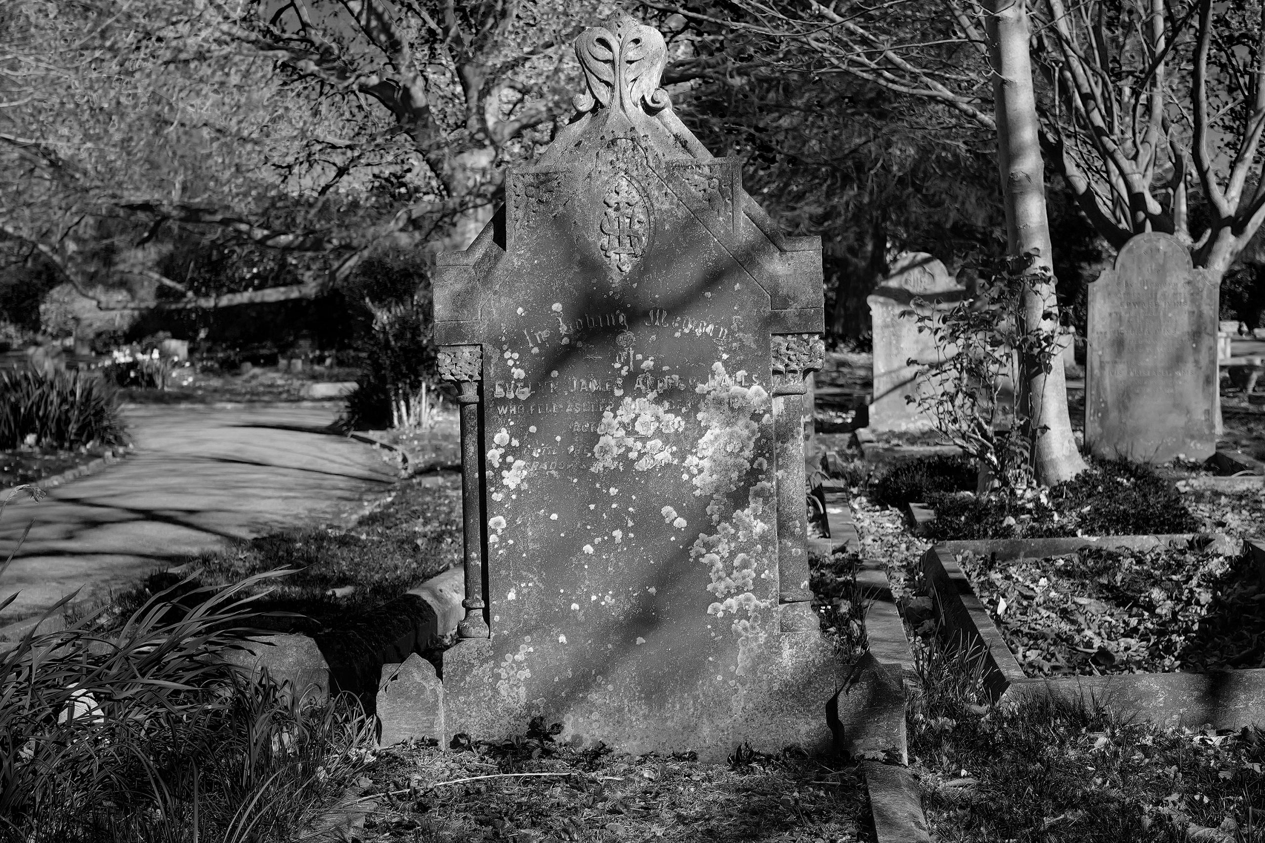 Moss and light on the gravestone