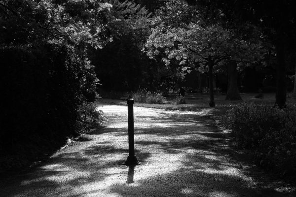 Post in the path