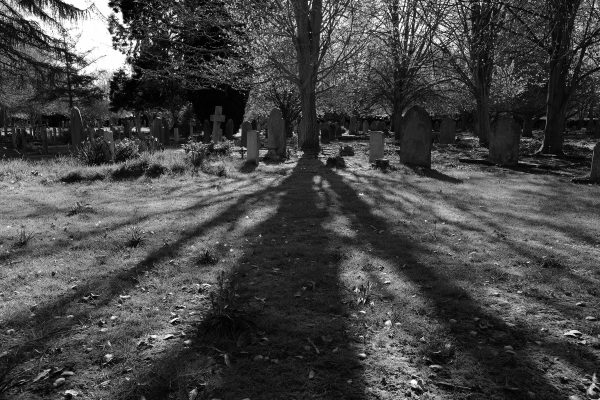 Shadows of trees, Canterbury Cemetery