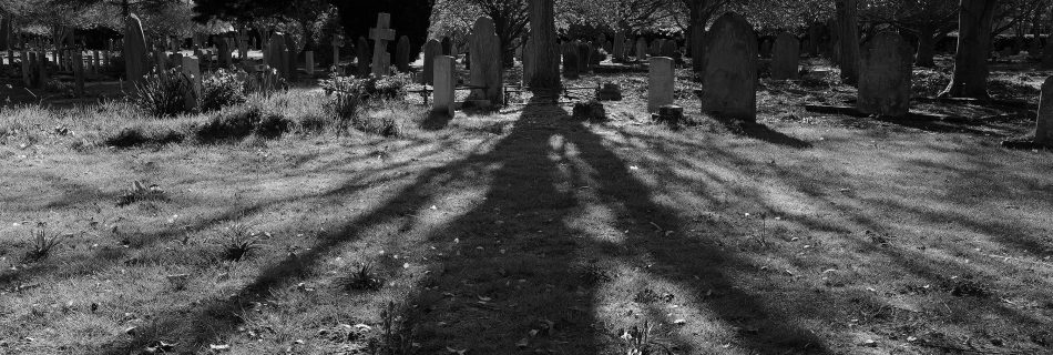 Shadows of trees, Canterbury Cemetery
