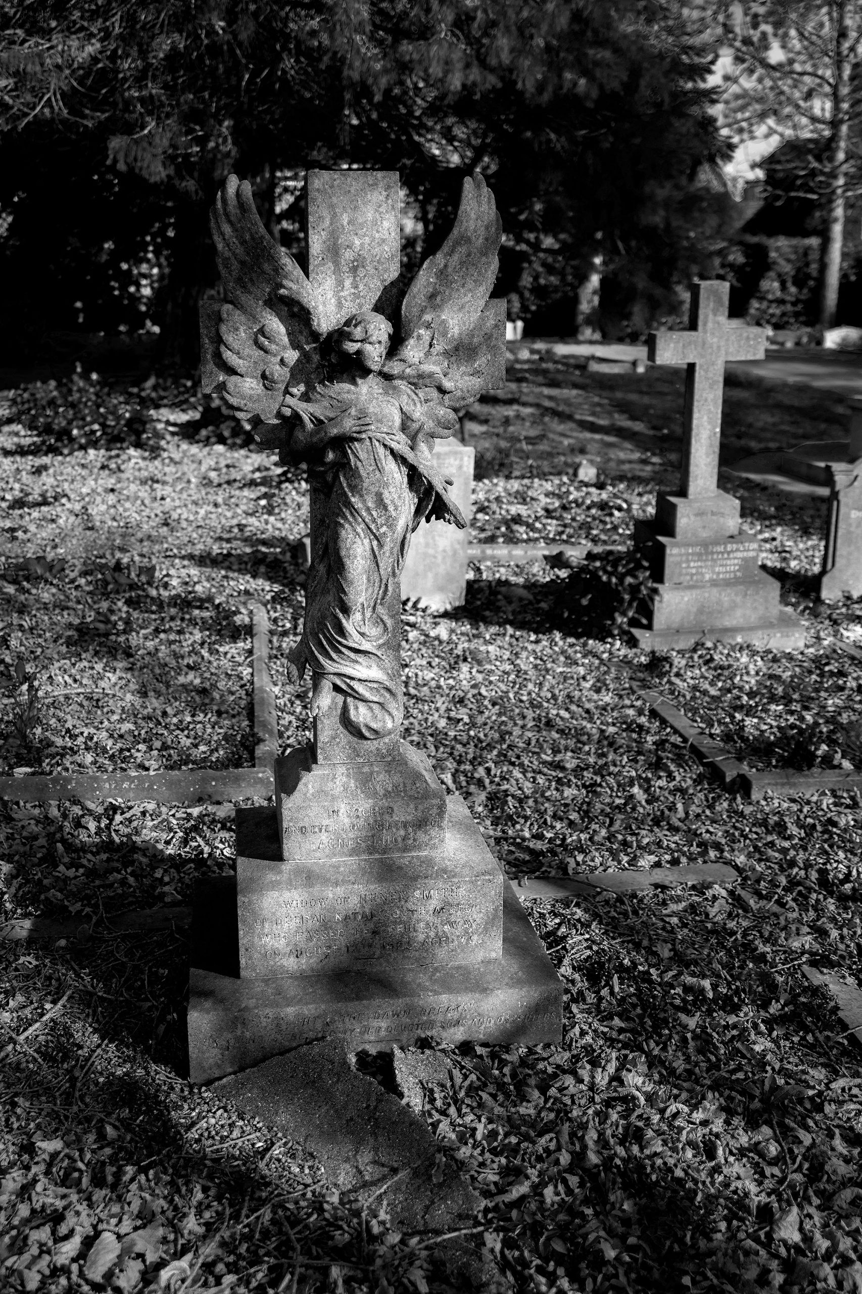 Stone angel, Canterbury Cemetery