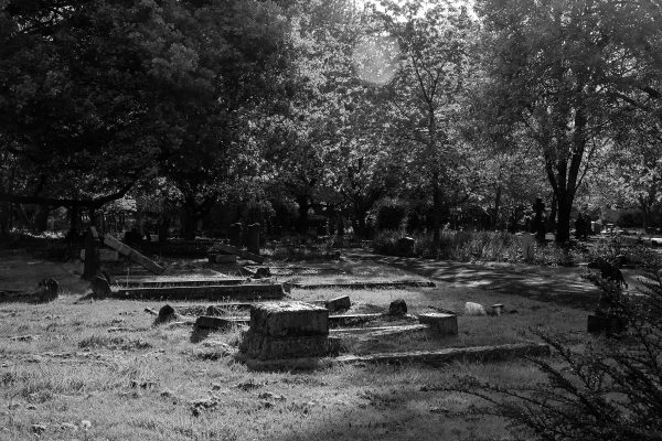 Sunlight on falled grave stones