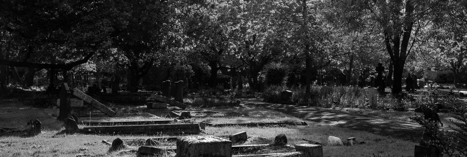 Sunlight on falled grave stones
