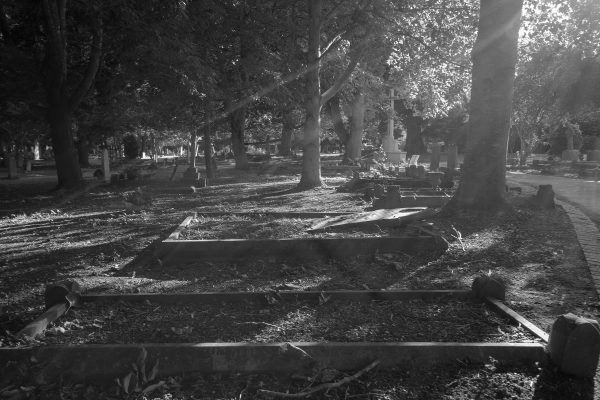 Sunlight and shadows on graves