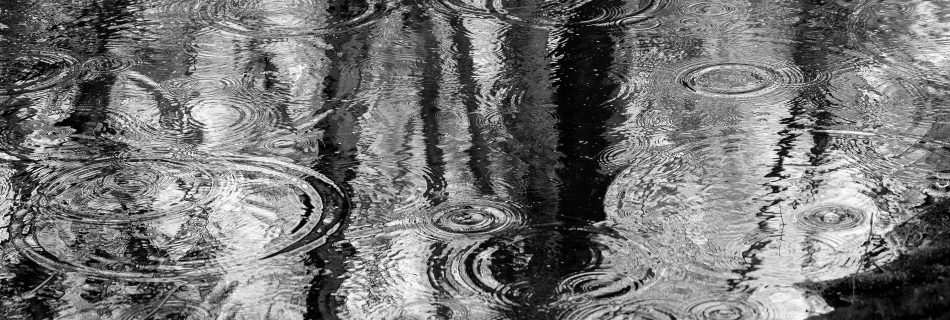 Rain patterns in pond. Blean Wood